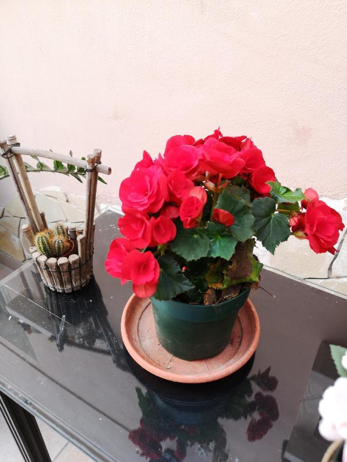 B&B Casa Valeria Catania Exterior photo